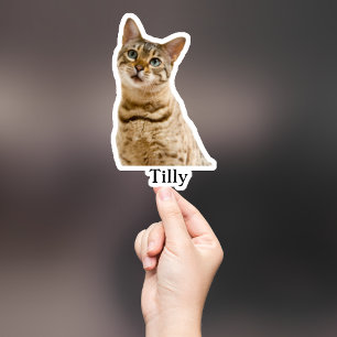 Adesivo Pet Sticker Personalizado, Dog Sticker Personaliza