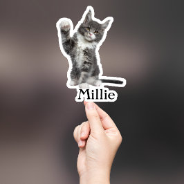 Adesivo Pet Sticker Personalizado, Dog Sticker Personaliza