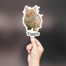 Pet Sticker Personalizado, Dog Sticker Personaliza