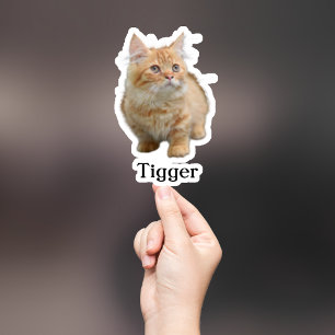 Adesivo Pet Sticker Personalizado, Dog Sticker Personaliza