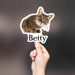 Adesivo Pet Sticker Personalizado, Dog Sticker Personaliza