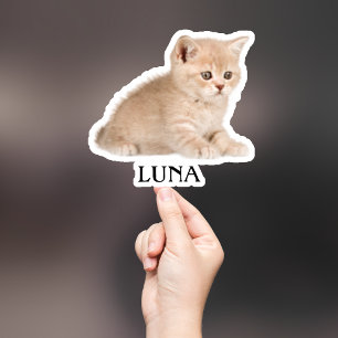 Adesivo Pet Sticker Personalizado, Dog Sticker Personaliza