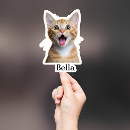 Adesivo Pet Sticker Personalizado, Dog Sticker Personaliza