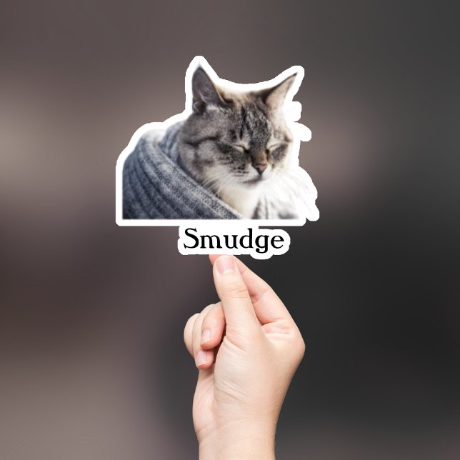 Adesivo Pet Sticker Personalizado, Dog Sticker Personaliza (Criador carregado)