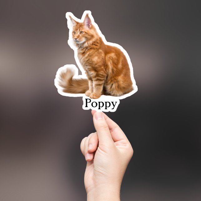 Adesivo Pet Sticker Personalizado, Dog Sticker Personaliza (Criador carregado)