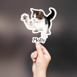 Adesivo Pet Sticker Personalizado, Dog Sticker Personaliza