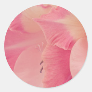 Adesivo Pétalas de Gladiola