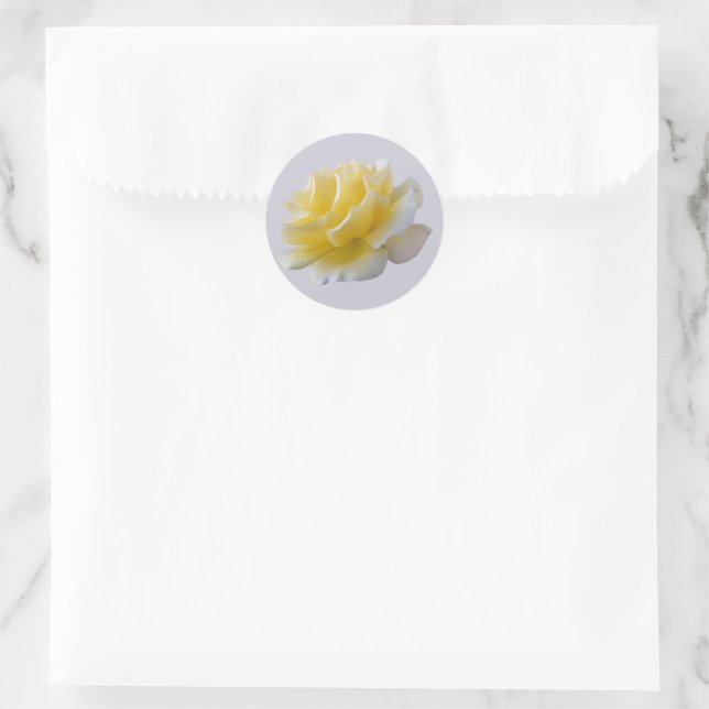 Adesivo Pétalas de rosa amarela (Bolsa)