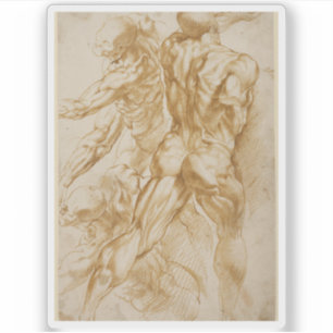 Adesivo Peter Paul Rubens - Estudos Anatômicos