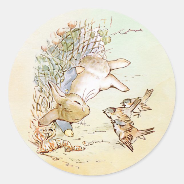 Adesivo Peter Rabbit com Aves (Frente)