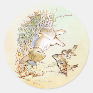 Adesivo Peter Rabbit com Aves