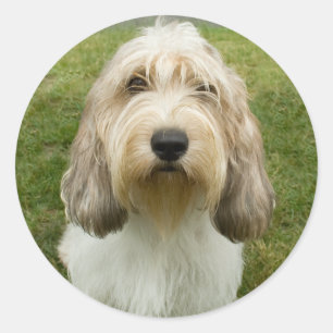 Adesivo Petit Basette Griffon Vendeen