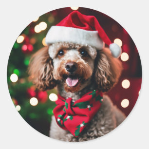 Adesivo Pets de Modelo de Foto de Natal do Poodle de papai