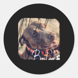 Adesivo Pets Moderno Simples Nome e Foto Cool Nge