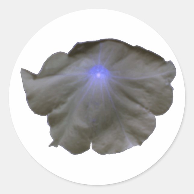 Adesivo Petunia, Black e Blue Stickers (Frente)