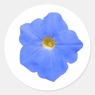 Adesivo Petunia Blue e Yellow Sticker
