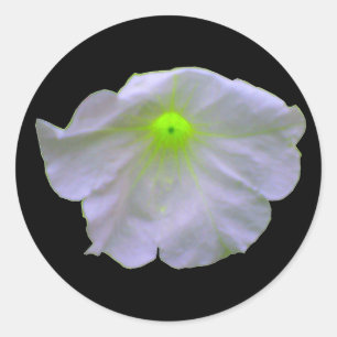 Adesivo Petunia Green Glow Stickers