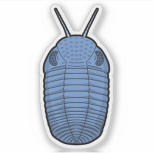 Adesivo Phacops Trilobita Azul Vinil - Animal Pré-Históric
