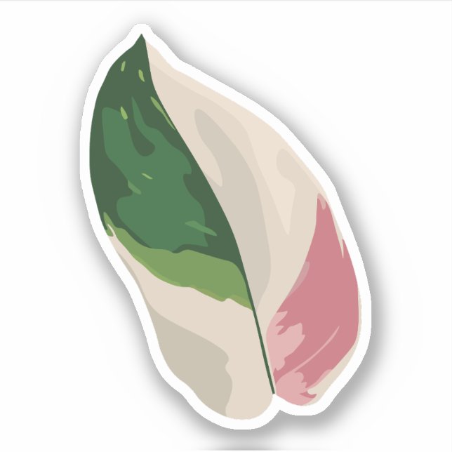 Adesivo Philodendron Pink Princess (Frente)