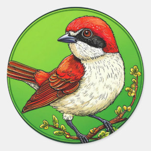 Adesivo Picanço-de-costas-vermelhas 🦜 Arte de Vida Selvag
