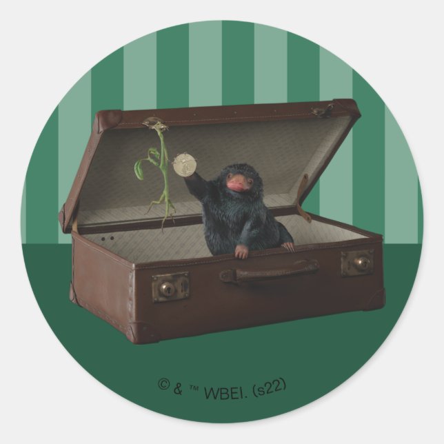 Adesivo Pickett & Teddy in Briefcase (Frente)