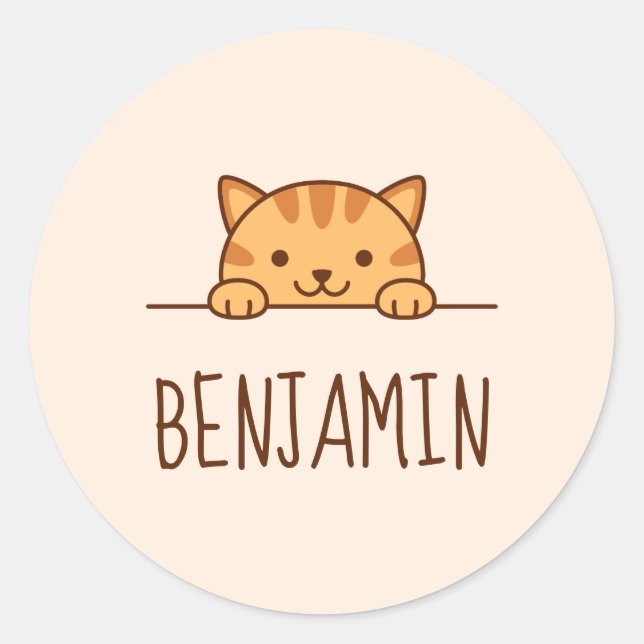 Adesivo Pico de Gato de Tabby Laranja acima do Nome Person (Frente)