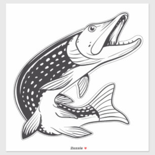Adesivo Pike Sticker - Autocolantes de pesca - Fisher