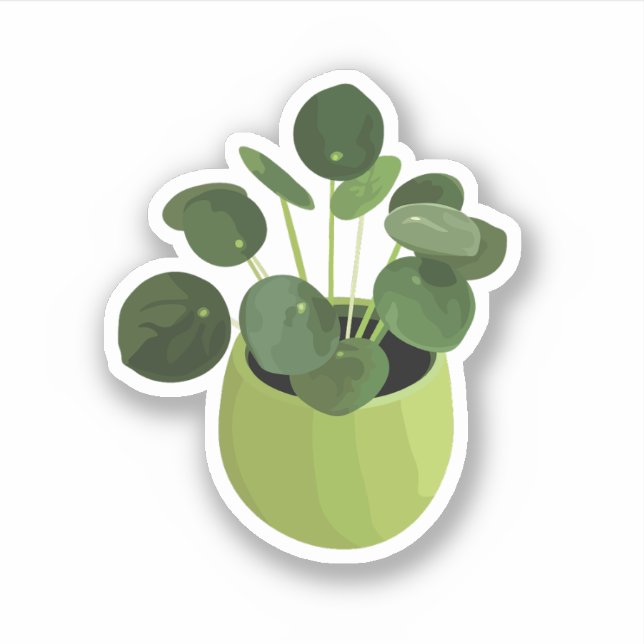 Adesivo Pilea Peperomioides House Sticker (Frente)