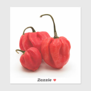 Adesivo Pimento doce