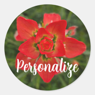 Adesivo Pincel de Pintura Vermelho Vibrante Flor Silvestre