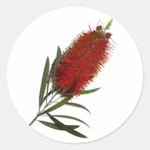 Adesivo Pincel do Frasco Vermelho Flame
