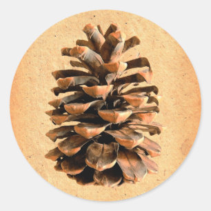 Adesivo Pine Cone