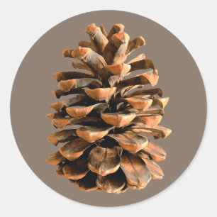 Adesivo Pine Cone