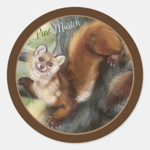 Adesivo Pine Marten