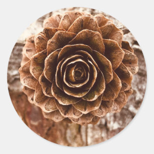 Adesivo Pinecone Autumn Stickers