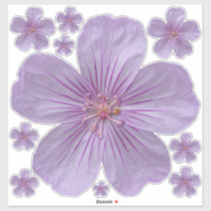 Adesivo Pineywoods Geranium nº 1