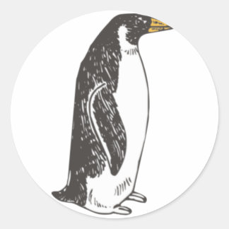 Adesivo Pinguim