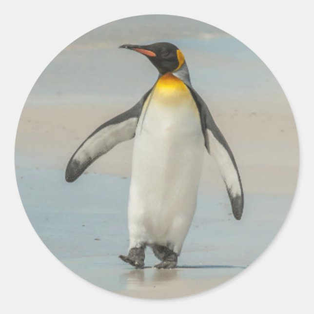 Adesivo Pinguim andando na praia (Frente)
