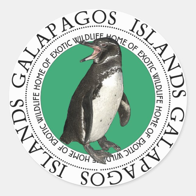 Adesivo Pinguim das Ilhas Galápagos (Frente)