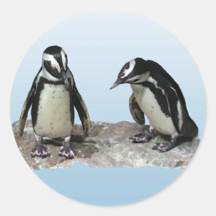 Adesivo Pinguins