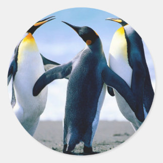Adesivo Pinguins do Alasca