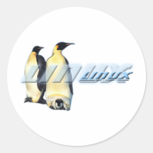 Adesivo Pinguins Linux