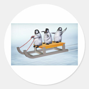 Adesivo Pinguins Sled