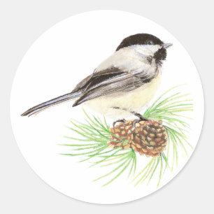 Adesivo Pinheiro bonito do pássaro do Chickadee da
