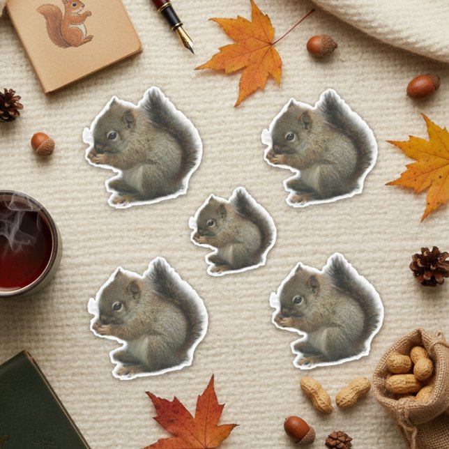 Adesivo Pinheiros de Kitten Esquilo (Squirrel Kitten Stickers)