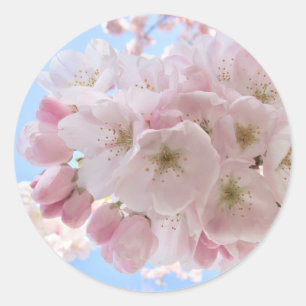 Adesivo Pink Blossoms Blue Sky.