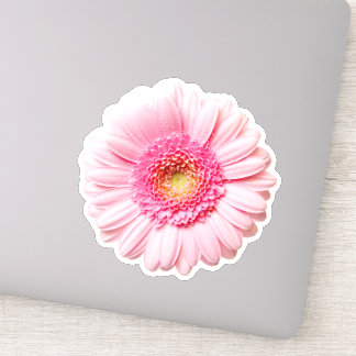 Adesivo Pink Daisy Bonito Sticker
