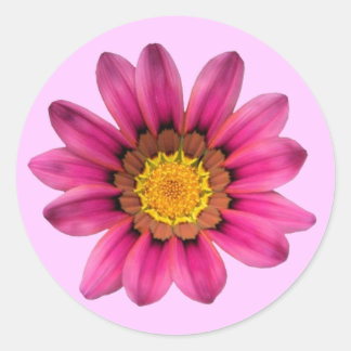 Adesivo Pink Daisy Sticker