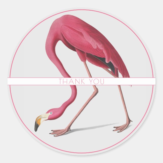 ADESIVO PINK FLAMINGO ROUND CUSTCKER (Frente)