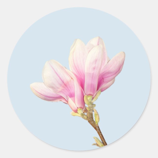 Adesivo Pink Magnolia Sticker (Frente)
